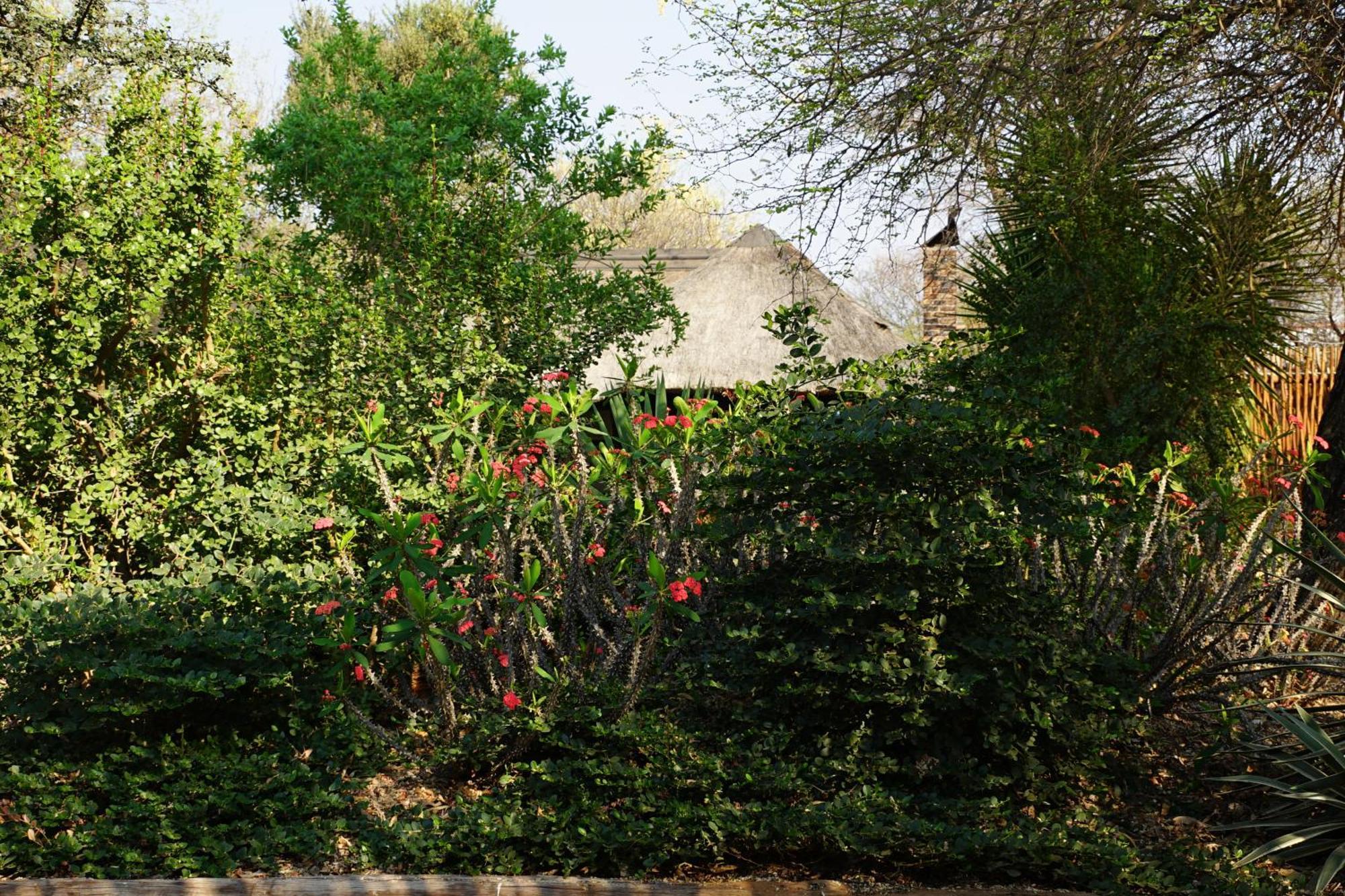 Beauty Kwele Game Lodge מראה חיצוני תמונה