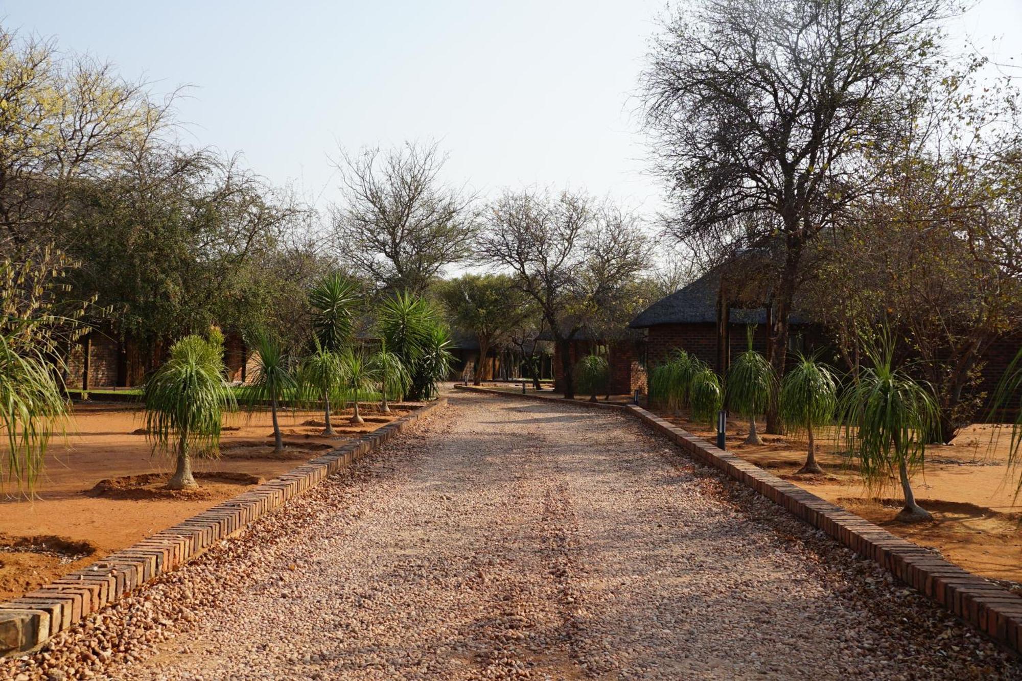 Beauty Kwele Game Lodge מראה חיצוני תמונה